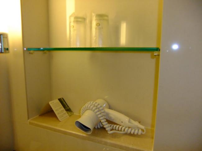 DSCF0010_resize.JPG